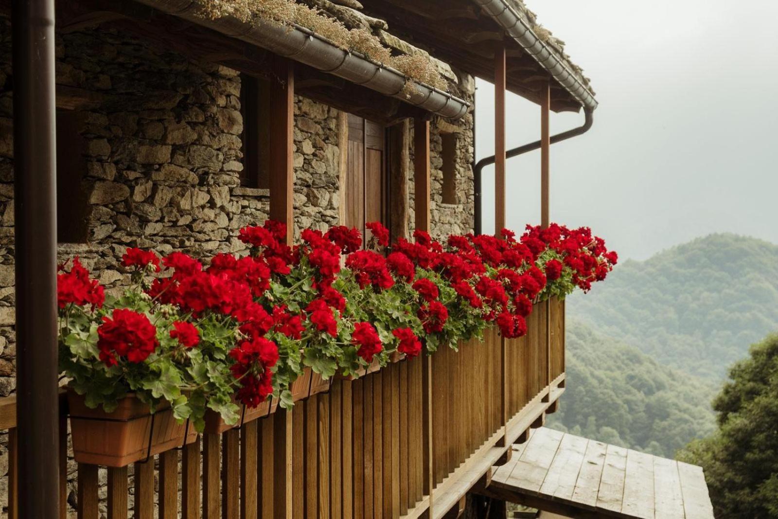 Chiusa di Pesio Rifugio Alpino Baudinet - Trek&Relax Bed & Breakfast エクステリア 写真
